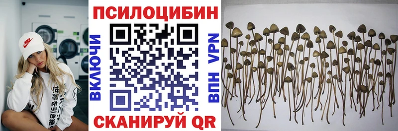 Галлюциногенные грибы мухоморы  где купить   Рязань 